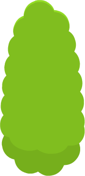 Green tree leaves 4
